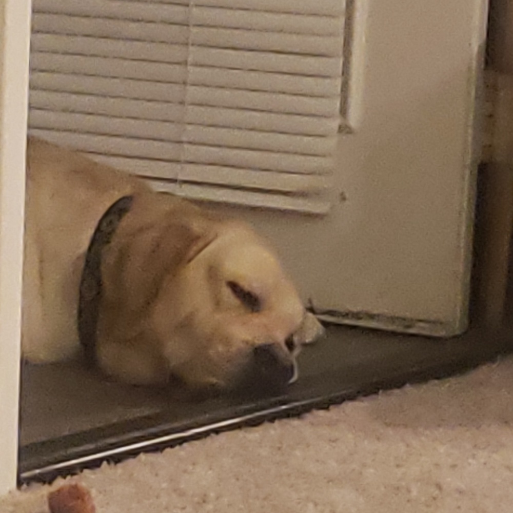 Meet your Posher, Audrea